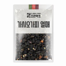 굿허브 가시오가피열매 300g, 단품