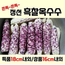 강원도흑찰옥수수