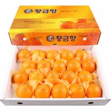 제주황금향생산자유은이