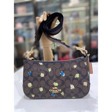 코치미니크로스백