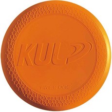 플라잉썬디스크