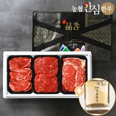 농협안심한우 1등급 소고기 선물세트, 실속세트 1.2kg(400gX3)