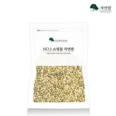 22년산녹두