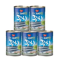 동원 자연산 꽁치, 5개, 300g