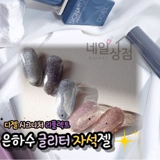 DGEL 디젤 시그니처 리플렉트 은하수 5종세트 자석젤 오로라 갤럭시네일 반사 반짝이 실버 톤 자석 마그넷 젤 특수젤 젤네일아트재료 젤 폴리쉬, 1개