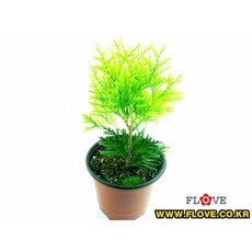 ac7bae6a4a5c54b7e33e841c2604ff1a197080d4cbdf6f17a88ce406e2a9.jpg