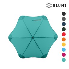 페달트레인클래식2