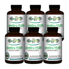 키오라로얄제리