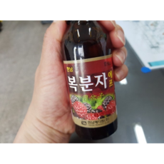 복분자 음료 한남메다팜, 100병, 100ml