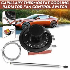 라디에이터써머스위치