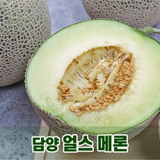 담양멜론