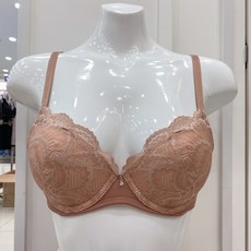 비비안후크