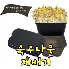 새싹재배기아시아종묘