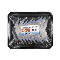 갈치미끼꽁치