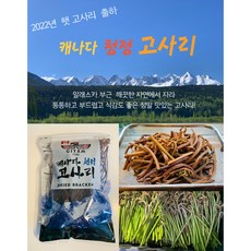 자연산고사리