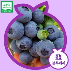 [산지직송_무료배송] 담양에서 정성 담아 키운 블루베리 생과 500g 1kg, 무농약 블루베리 500g (특 13-16)
