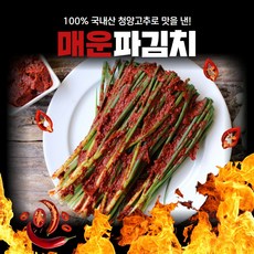 경자네 국내산 전라도 청양 실비 알싸하게 매운 파김치, 1개, 1kg