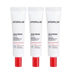 몽디에스수딩미스트