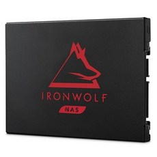 IRONWOLF 125 SSD 250GB TLC