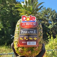 기타 Dole 스위티오 파인애플 2수 (2.4-2.8kg 내외), 2개