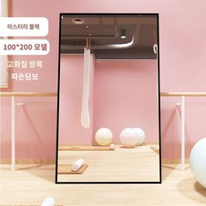 대형 거울 벽걸이 이동식 아치형 전신 스탠드 강화유리 와이드 타원형 비정형, T. 100x200, 1개