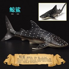 해양생물장난감