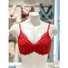 br1770a TOP01