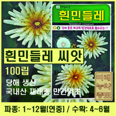 국산 재래종 흰민들레 씨앗 100립- 연중파종 가능 민간약초 토종 민들레, 1개