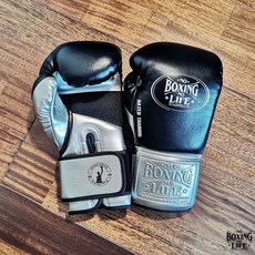 노복싱노라이프