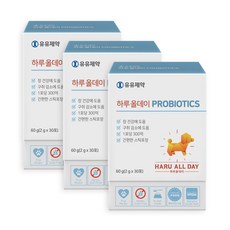 유유제약 하루올데이 PROBIOTICS 강아지 유산균 영양제 면역력 소화력개선 1포 300억 카제로템 신바이오틱스 2gx30포, 장건강/유산균, 3개