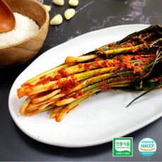 [하루집밥] 전라도 파김치 100% 국내산 주문즉시 당일생산, 1개, 1kg