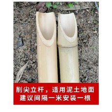a9c369d7a92d07a6a13c0060dbf9cda9f23ca60a54ae6eccec670ed4c383.jpeg