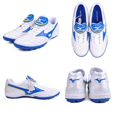 모렐리아웨이브