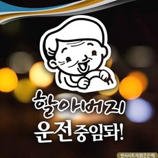 자동차운전전문강사