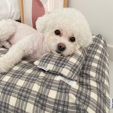 봉쥬르뚜뚜우비