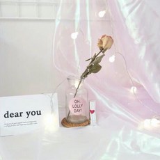 반짝이원단촬영용