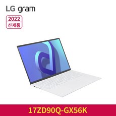 LG전자 2022 그램 17, 256GB, 17ZD90Q-GX56K, 스노우 화이트, 코어i5, 16GB, Free DOS
