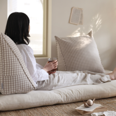 삼각등쿠션체크