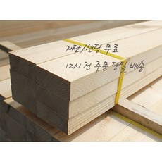 방부목투바이
