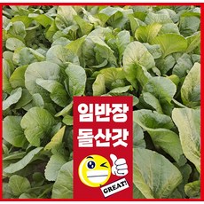 여수돌산갓 생갓 10kg, 1개