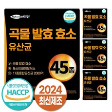 자연속 하루 효소 곡물 발효 효소 유산균 45종