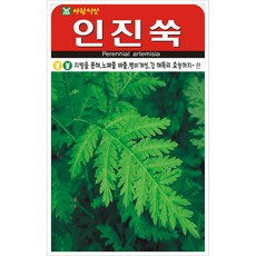 인진쑥씨앗 1000립 민속씨앗 아람종묘 23년