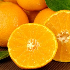 f628618c4c65b2e23bde9419ba1398d6b870b0879504b6ccc19f6dd91032.jpg