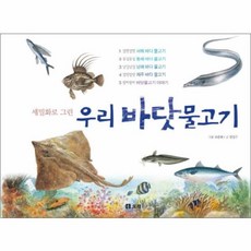 물고기백과