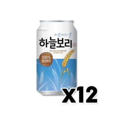 웅진 하늘보리 갈증해소 캔음료 340ml x 12개