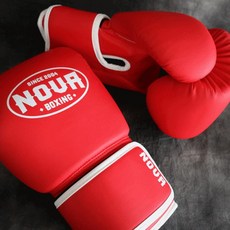 NOVABOXING 노바복싱 466 백글러브 (글러브형) / 글러브형 백장갑 권투용품 킥복싱 격투기용품 보호용품