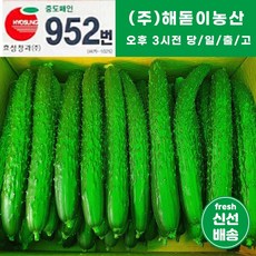 마스터프레시오이특품