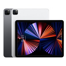 아이패드프로3세대11인치