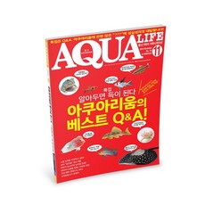 아쿠아라이프 2014년 11월호, 단품
