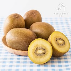 웰굿 하동직송 고당도 골드키위 5kg(36-39과내외 왕특과), 없음, 1개